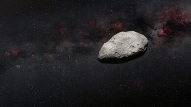 Conheça os asteroides próximos à Terra no Dia Mundial dos Asteroides 2025