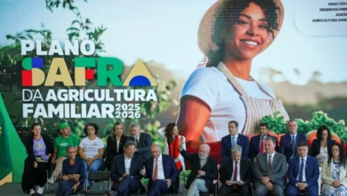 Agronegócio brasileiro recebe investimento de R$ 516,2 bilhões com novo plano safra