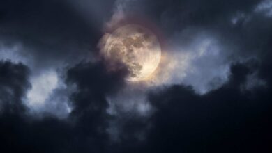 Lua Cheia ilumina o céu hoje e revela calendário completo de fases em junho