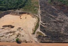 MPF aciona Justiça por mineração ilegal e degradação ambiental em Rondônia
