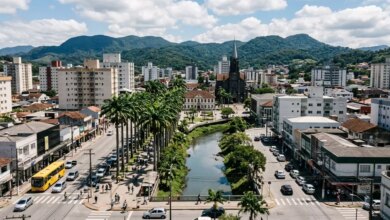 Temperaturas em Joinville variam entre 17°C e 29°C; dia de sol e névoa matinal Temperaturas em Joinville variam entre 17°C e 29°C; dia de sol e névoa matinal