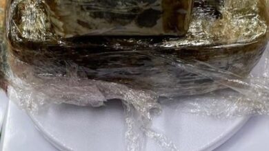 Polícia Federal apreende 1,27 kg de drogas em encomendas postais no Rio Grande do Norte