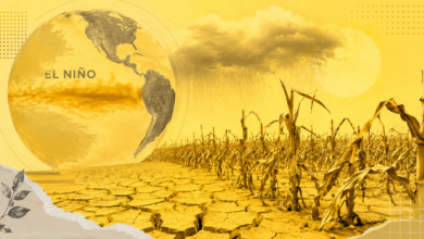 Governo Lula destina R$ 1,33 bi para enfrentar impactos do El Niño no Brasil Governo Lula destina R$ 1,33 bi para enfrentar impactos do El Niño no Brasil