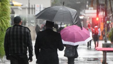 São Paulo enfrenta frio intenso neste domingo e abrigo solidário é ativado São Paulo enfrenta frio intenso neste domingo e abrigo solidário é ativado