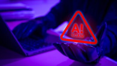 Fraudes digitais ameaçam fãs do Tomorrowland com sites falsos e registro biométrico