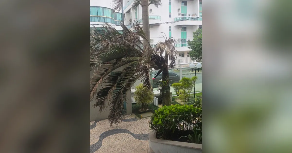 Muro desaba em Santa Teresa e deixa duas mortes; pescador desaparece em Tarituba