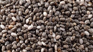 Descubra os Benefícios da Semente de Chia Crocante da Natural Nuts em 1kg