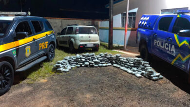 PRF e PM apreendem 163,3 kg de skunk em Seringueiras, Rondônia, após perseguição policial PRF e PM apreendem 163,3 kg de skunk em Seringueiras, Rondônia, após perseguição policial