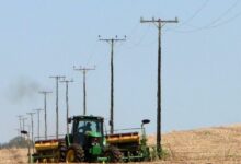 Rondônia registra 50 mortes por acidentes com rede elétrica em 7 anos; alerta sobre segurança no campo Rondônia registra 50 mortes por acidentes com rede elétrica em 7 anos; alerta sobre segurança no campo