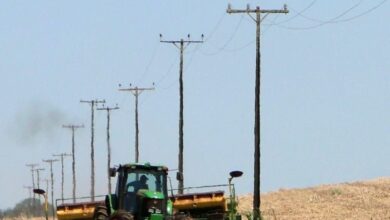 Rondônia registra 50 mortes por acidentes com rede elétrica em 7 anos; alerta sobre segurança no campo