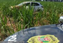 Polícia Civil recupera veículo furtado em Dracena e investiga criminoso responsável