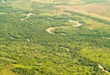 Parque Estadual do Rio do Peixe ganha 419 hectares e amplia proteção ambiental em SP