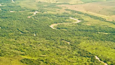 Parque Estadual do Rio do Peixe ganha 419 hectares e amplia proteção ambiental em SP Parque Estadual do Rio do Peixe ganha 419 hectares e amplia proteção ambiental em SP