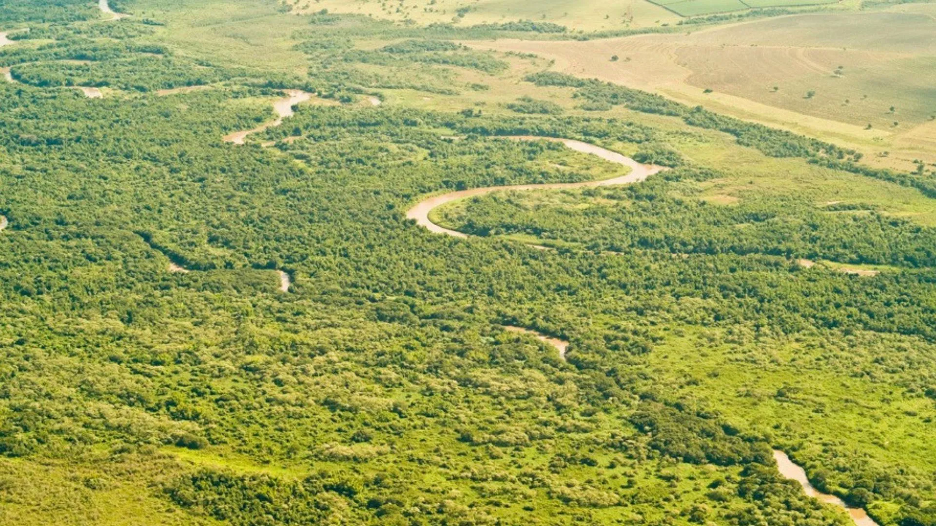 Parque Estadual do Rio do Peixe ganha 419 hectares e amplia proteção ambiental em SP