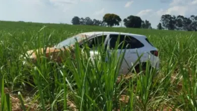 Polícia Civil recupera carro furtado e intensifica buscas por suspeito em Dracena