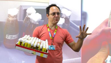 Centenário da Teoria do Gene traz debates sobre genética e medicina personalizada na Unicamp