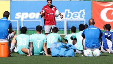 Palmeiras busca tríplice coroa histórica e aposta em 16 finais decisivas nesta temporada