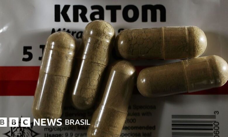Kratom ganha notoriedade nos EUA após mortes de estudantes em Mississippi e alertas de segurança