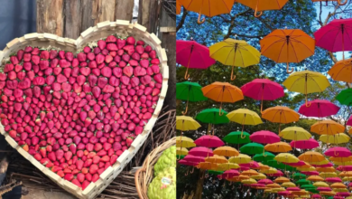Primavera revela 5 destinos imperdíveis perto de São Paulo para explorar agora