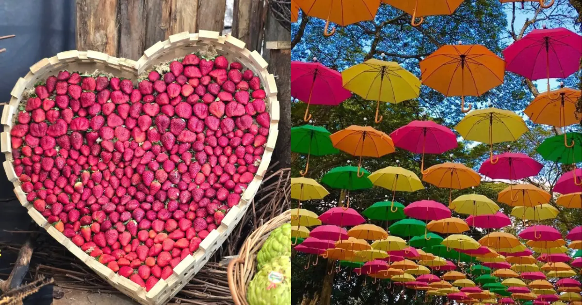 Primavera revela 5 destinos imperdíveis perto de São Paulo para explorar agora