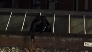 Homem vestido de Batman recupera bolsa furtada e inspira muitos nas redes sociais