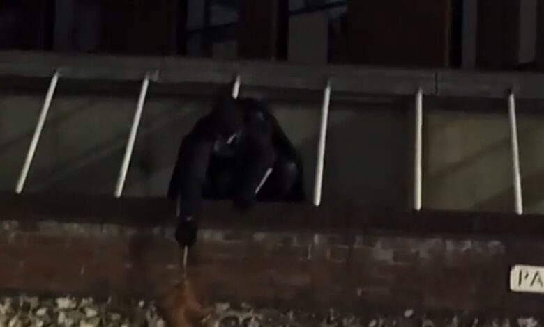 Homem vestido de Batman recupera bolsa furtada e inspira muitos nas redes sociais