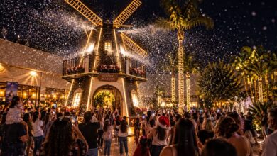 Natal by Expoflora 2026 promete milhõe de luzes e atrações imperdíveis em Holambra