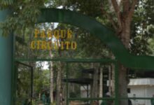 Parque Circuito em Porto Velho ganha revitalização e reabre com novidades no próximo sábado
