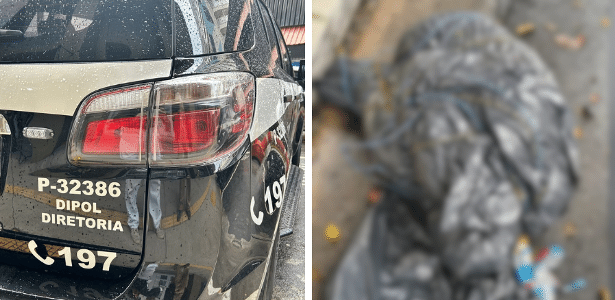 Corpos são abandonados em mata e polícia intensifica investigações em SP Corpos são abandonados em mata e polícia intensifica investigações em SP