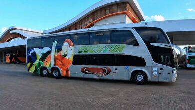 Agero regulamenta viagens gratuitas para eleitores em Rondônia durante o segundo turno Agero regulamenta viagens gratuitas para eleitores em Rondônia durante o segundo turno