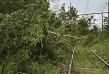 Trens da Linha 3-Vermelha e 7-Rubi enfrentam redução de velocidade por intempéries