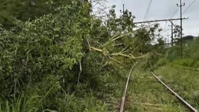 Trens da Linha 3-Vermelha e 7-Rubi enfrentam redução de velocidade por intempéries