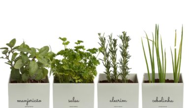 Transforme Seu Jardim: Kit de 4 Vasos Autoirrigáveis em Cores Elegantes para Ervas e Hortaliças