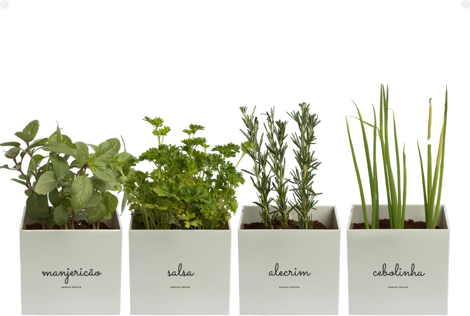 Transforme Seu Jardim: Kit de 4 Vasos Autoirrigáveis em Cores Elegantes para Ervas e Hortaliças