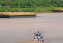 Rondônia é o 2º maior exportador da Região Norte, com US$ 2,87 bilhões em 2026 Rondônia é o 2º maior exportador da Região Norte, com US$ 2,87 bilhões em 2026