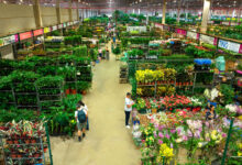 Ceaflor Expo Garden une tendências em paisagismo e congresso em outubro de 2026