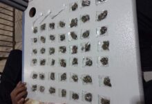 Polícia Militar captura traficantes com drogas em operação em Rondônia