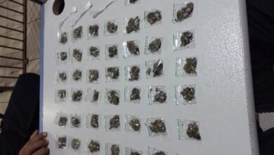 Polícia Militar captura traficantes com drogas em operação em Rondônia