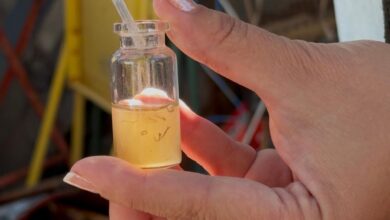 Pernambucanos enfrentam surto de dengue após chuvas; prefeitura intensifica combate