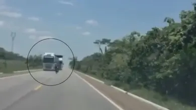 Motociclista morre em acidente com caminhão boiadeiro na BR-364 em Porto Velho