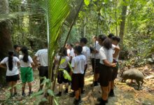 Polícia Militar de Rondônia promove atividade ambiental com crianças em Candeias do Jamari