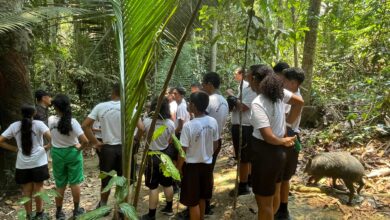 Polícia Militar de Rondônia promove atividade ambiental com crianças em Candeias do Jamari