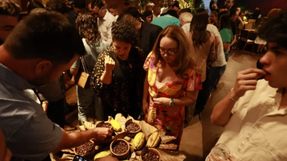 Rondônia e Pará garantem 15 das 20 vagas na final do Concurso Nacional de Cacau Especial
