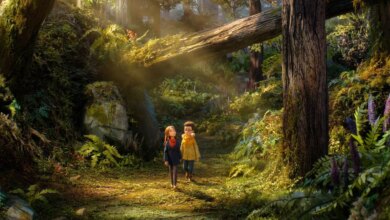 “O Bosque Selvagem” é a nova animação que desafia a IA e encanta com arte humana