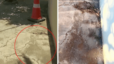 Moradores emocionam-se com aparência de rosto de Jesus em calçada em SP Moradores emocionam-se com aparência de rosto de Jesus em calçada em SP
