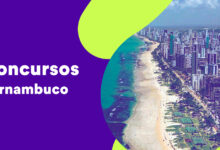 Câmara de Caruaru lança concurso com 20 vagas; inscrições começam em breve