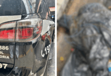 SP investiga 17 corpos encontrados, descarta serial killer e busca evidências de crimes