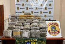 Polícia Federal incinera 1.314 kg de drogas em ação em Rondônia