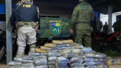 Polícia apreende 103,9 quilos de skunk em operação em Nova Mutum Paraná, Porto Velho