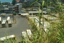 Justiça Eleitoral exige ônibus em São Paulo e multa prefeitura em caso de descumprimento